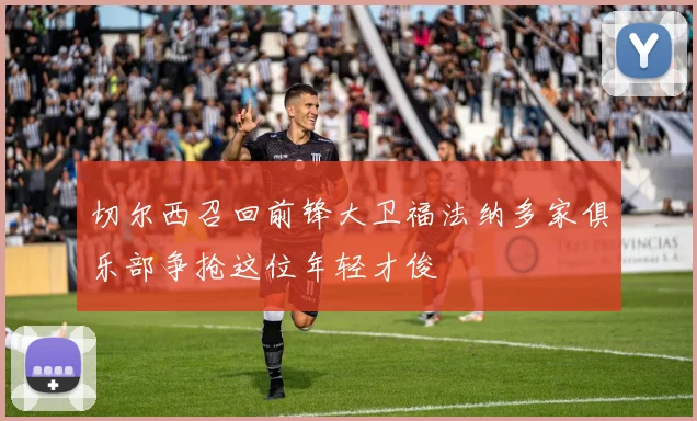 切尔西召回前锋大卫福法纳多家俱乐部争抢这位年轻才俊